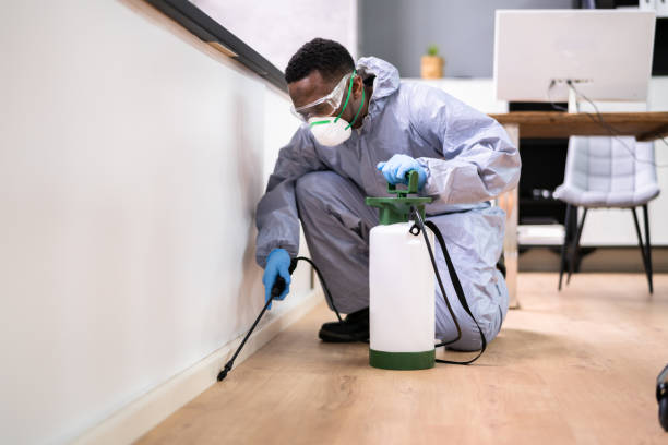 Best Pest Exclusion Services  in Lorain, OH